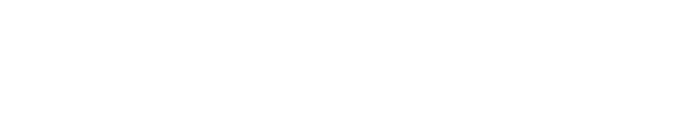 PRO Leckortung Frankfurt Weiß Logo